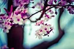 test test